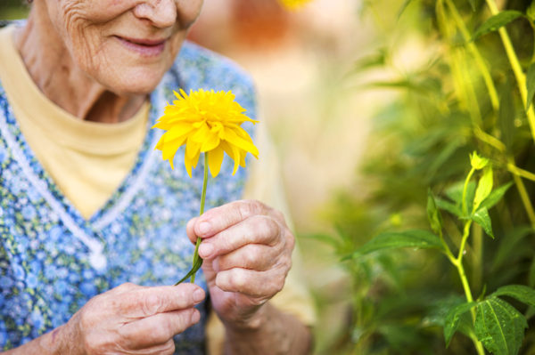 Spring Activities For Seniors - Onyx Home Care