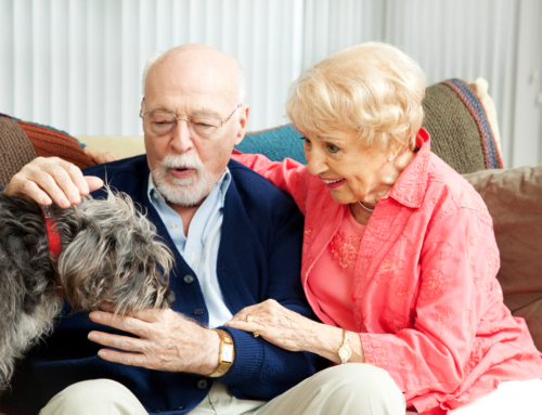 10 Ways To Keep Your Senior Loved One Safe At Home